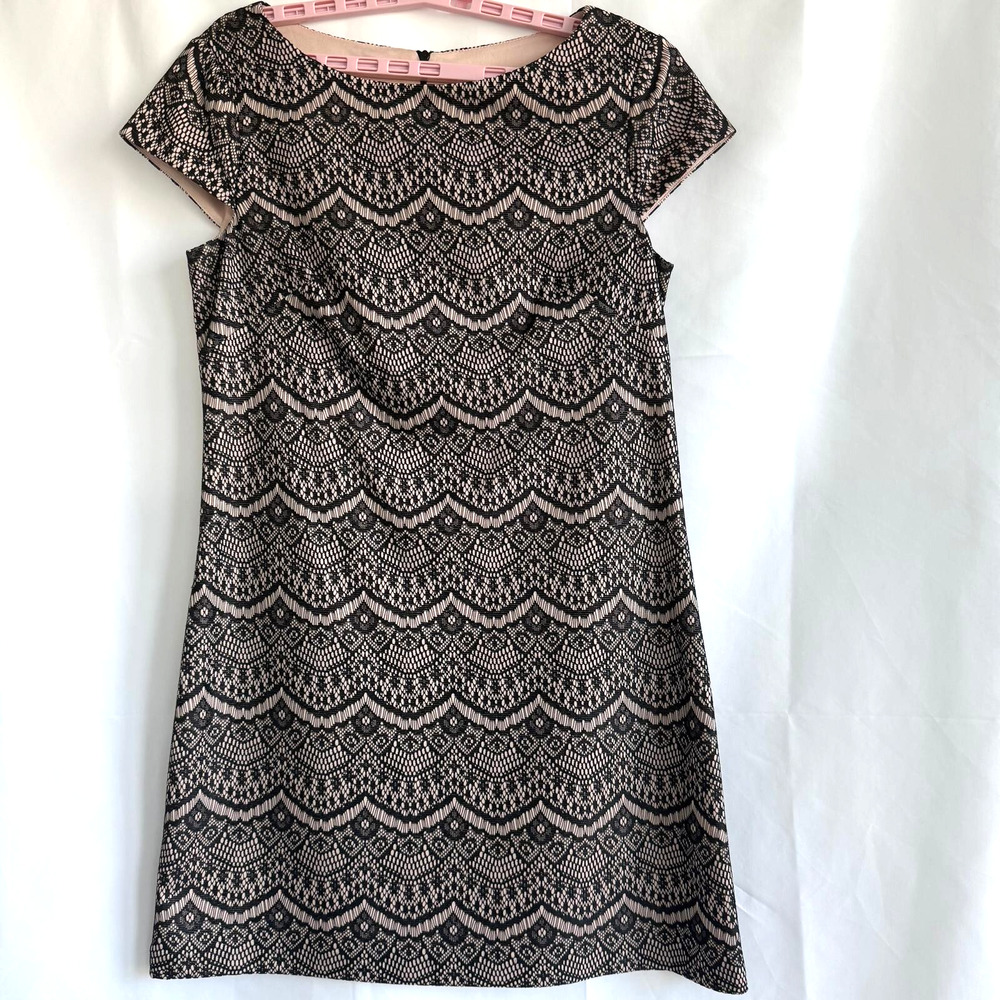 Eliza J Scalloped Lace Overlay Sheath Elegant Dress Black Size 14